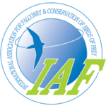 Logo IAF